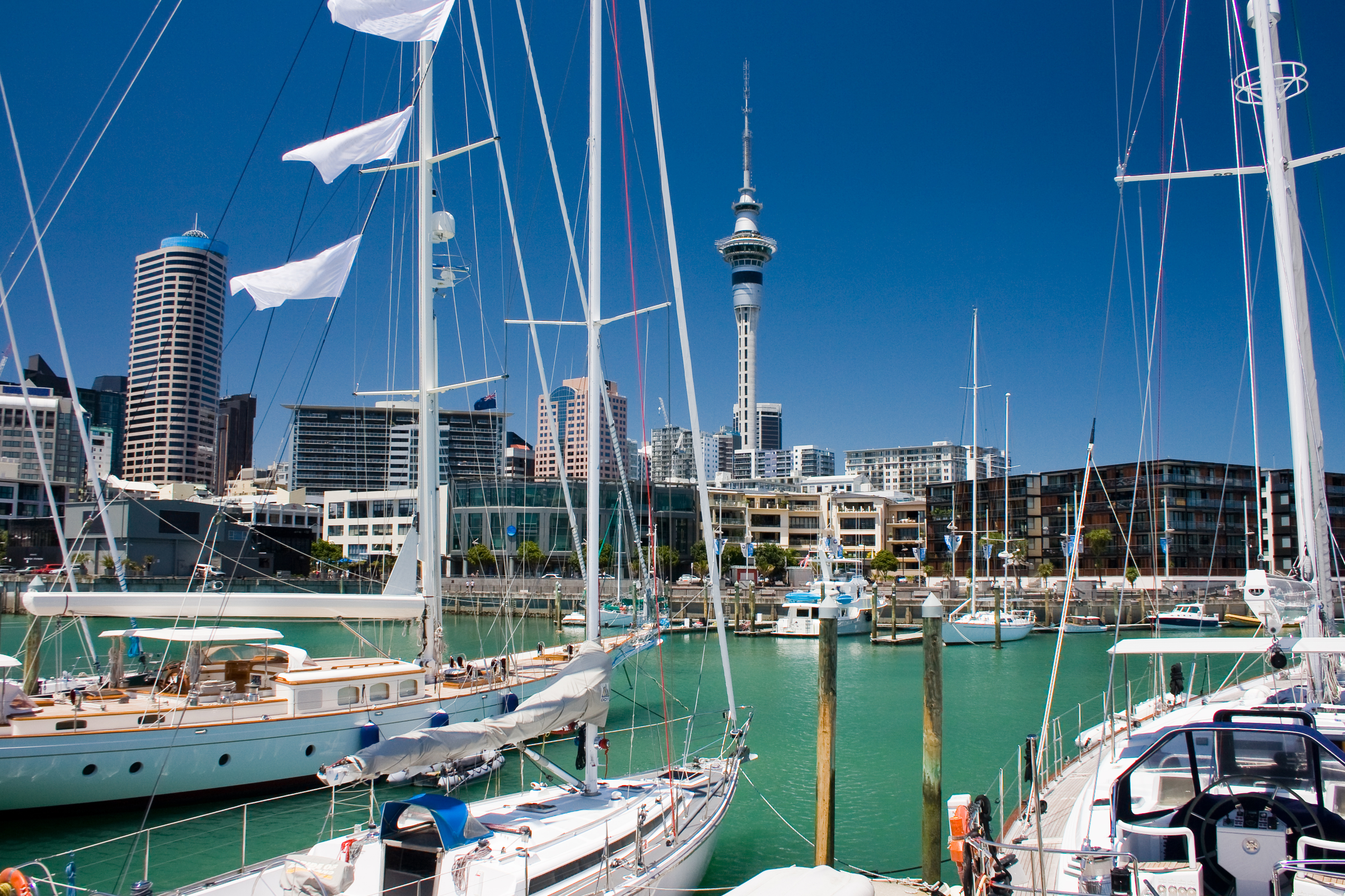 Located in the heart of the CBD, the Viaduct Harbour offers excellent eateries set amongst the backdrop of sleek super yachts and the water.