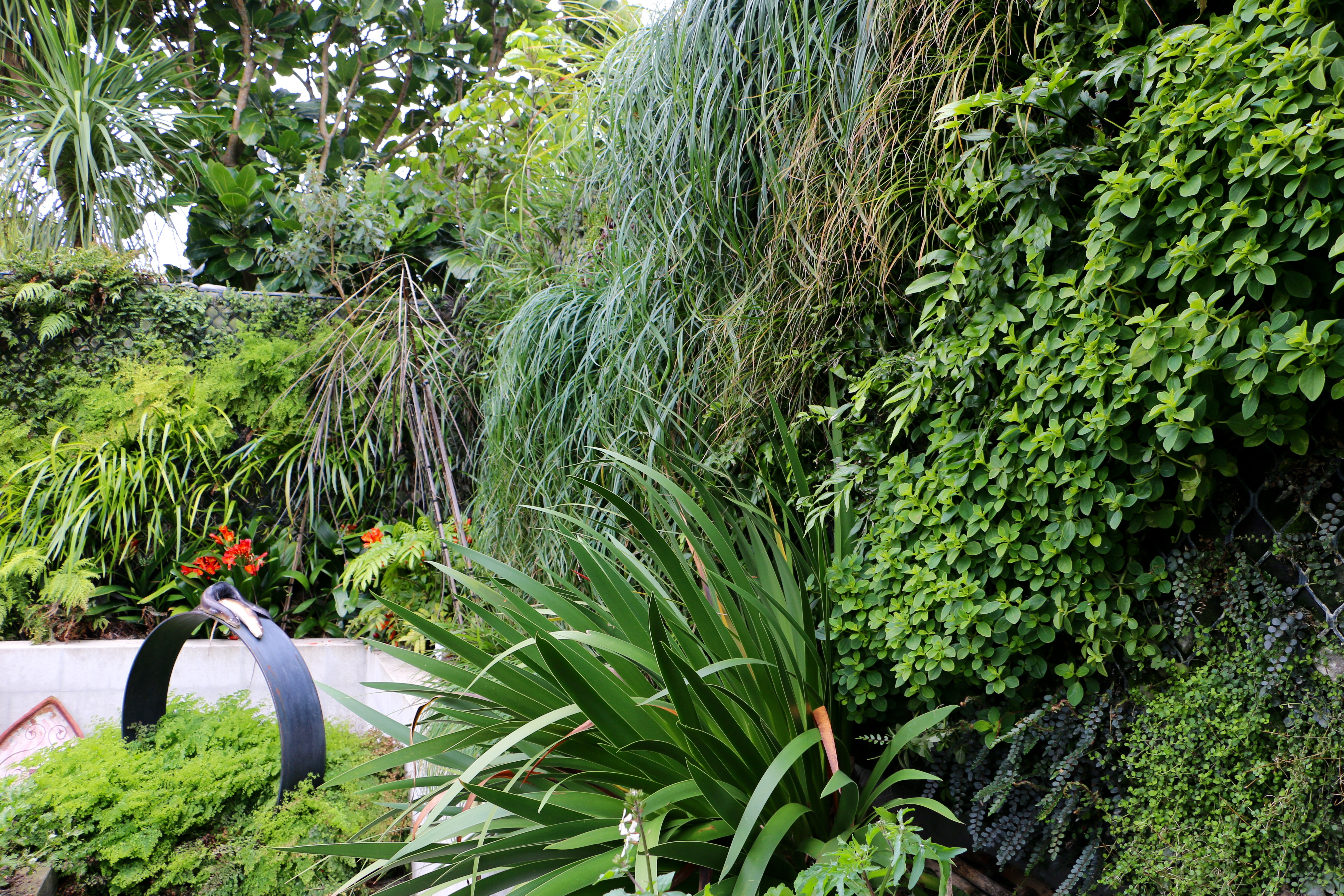 An established green wall in a residential garden.