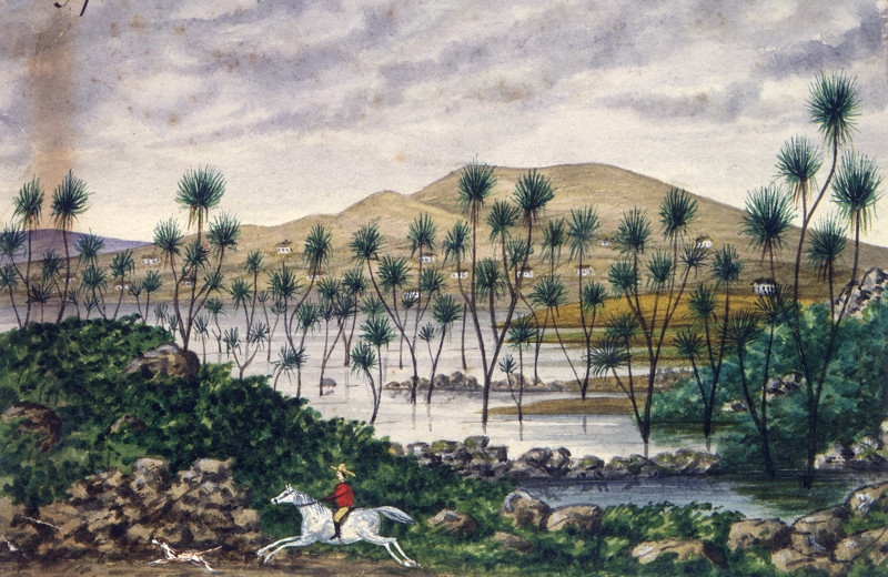 Cabbage Tree Swamp- Backhouse, John Philemon, 1845-1908. Alexander Turnbull Library, Wellington, New Zealand